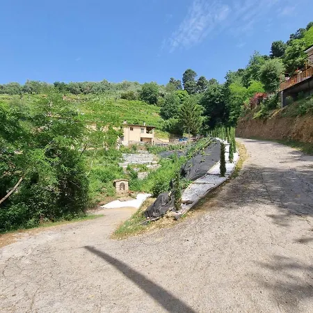 Serene In With Private Pool Pietrasanta
