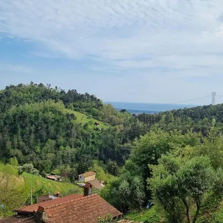 Appartement Serene In With Private Pool Pietrasanta